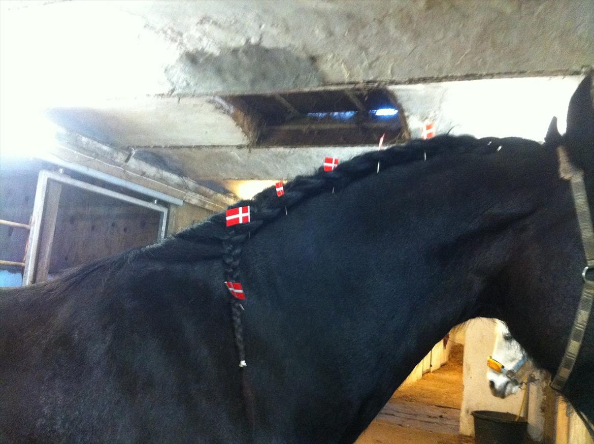 HIRK (himmelevrideclub) stævne.. billede 34