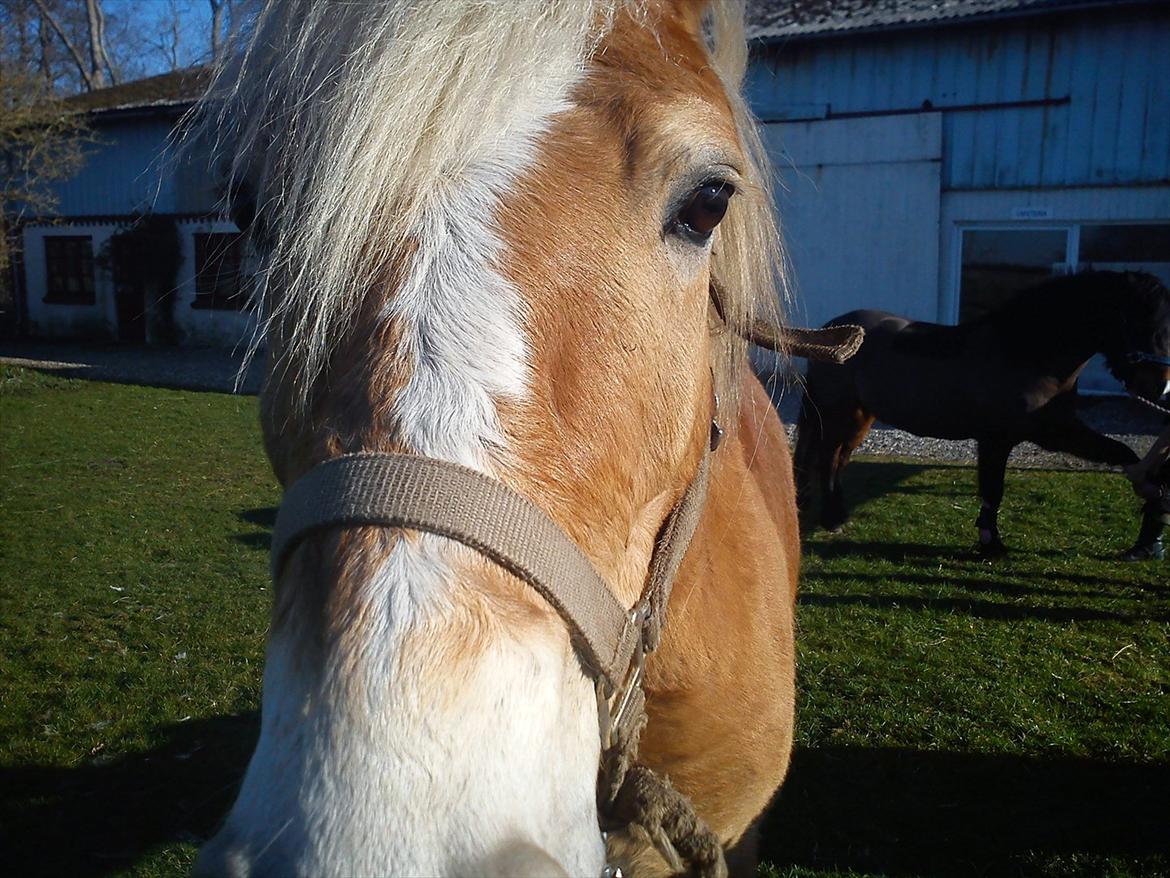 Undervisning. billede 1