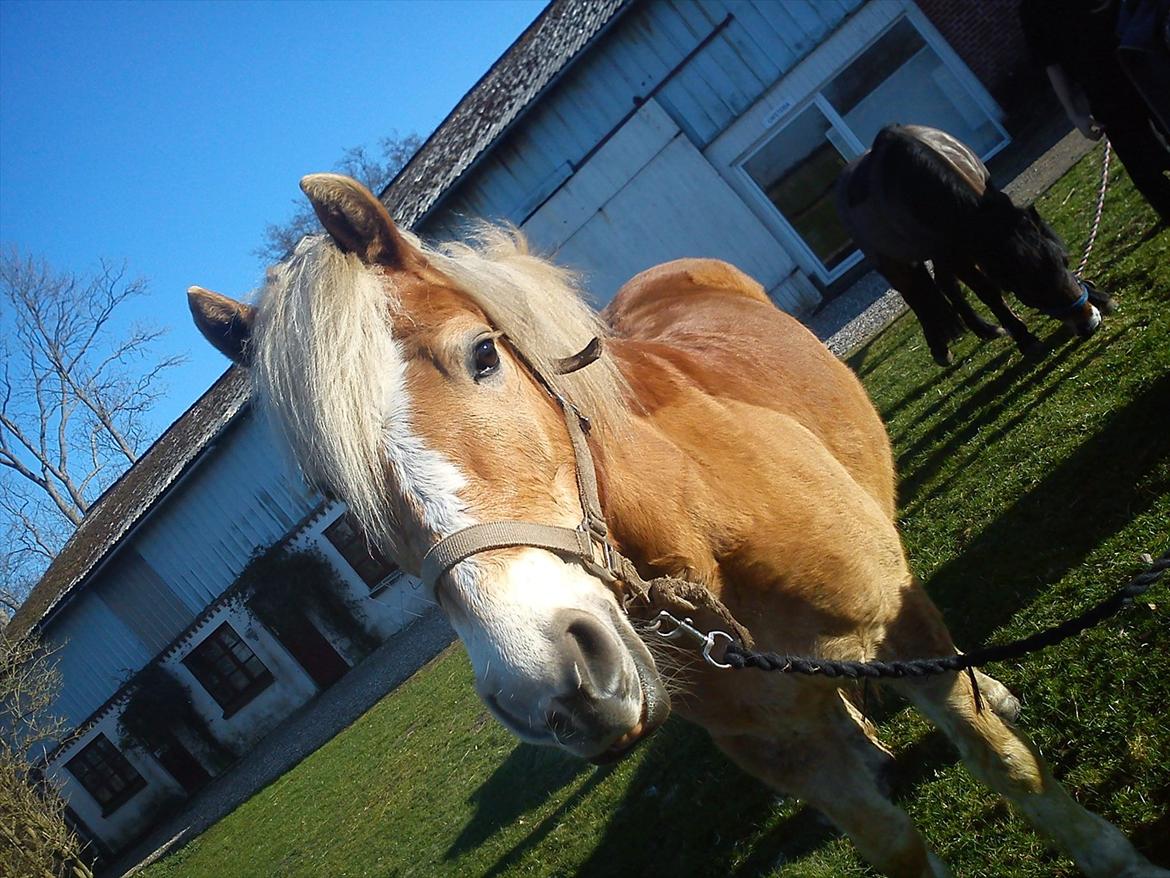 Undervisning. billede 2