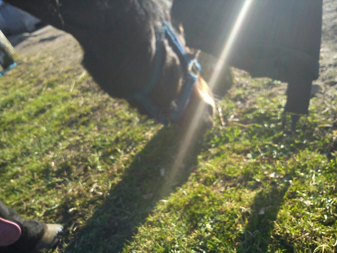 Undervisning. billede 3