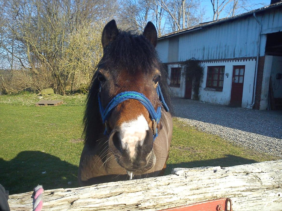 Undervisning. billede 4