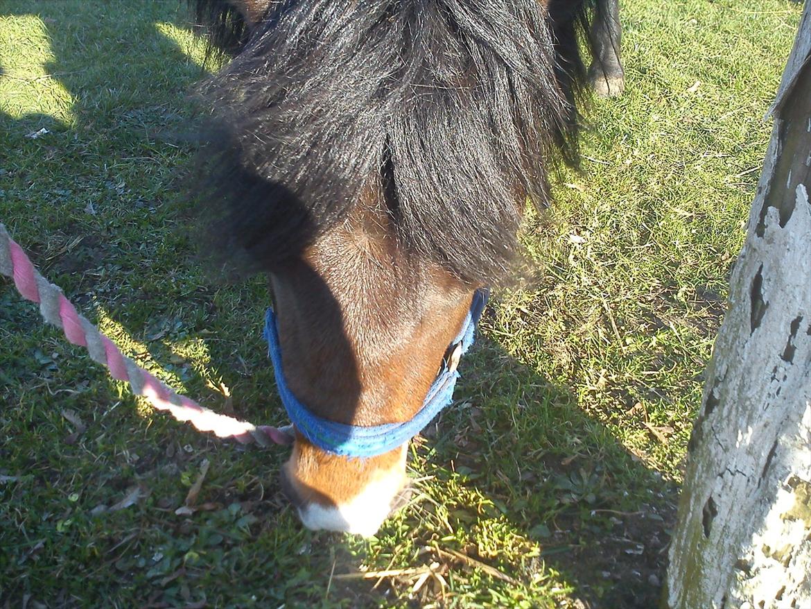 Undervisning. billede 5