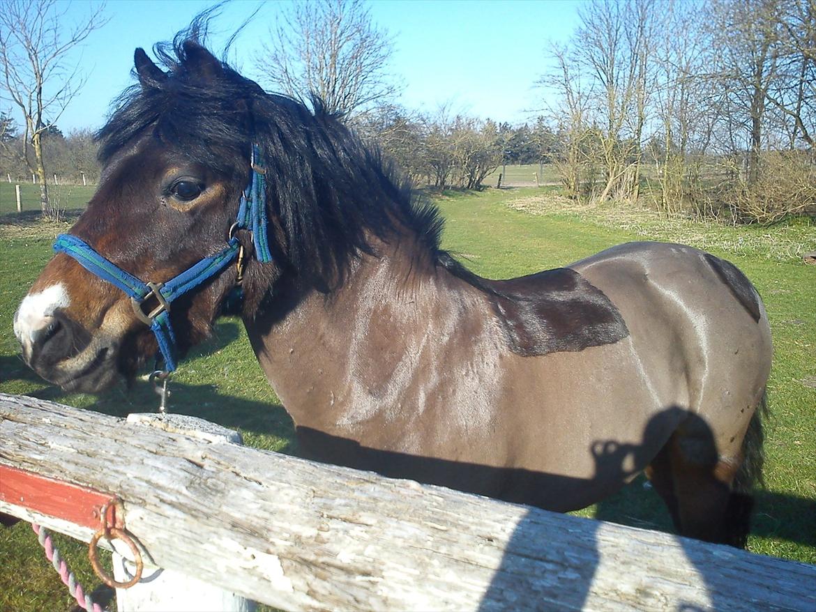 Undervisning. billede 7