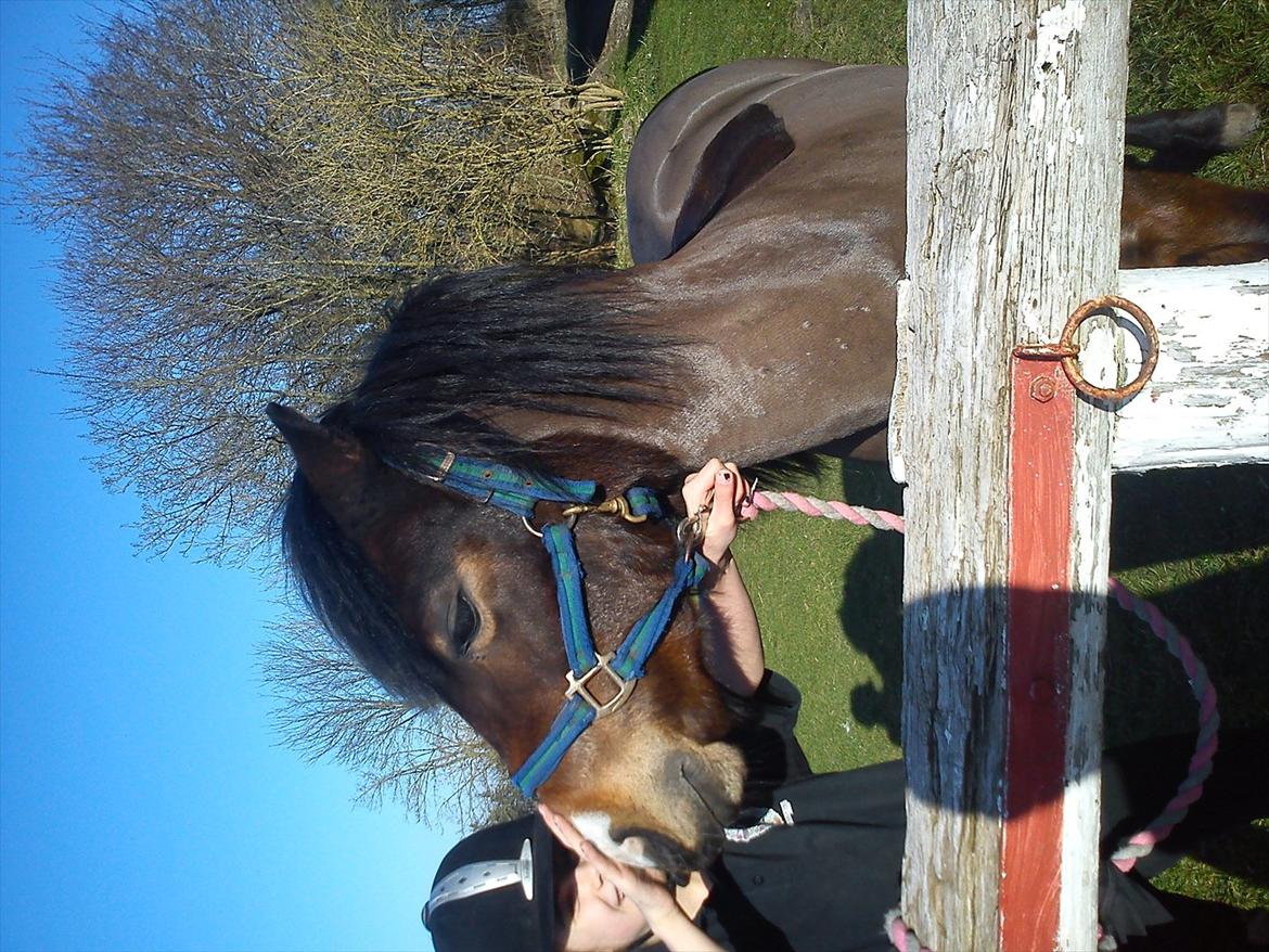 Undervisning. billede 8