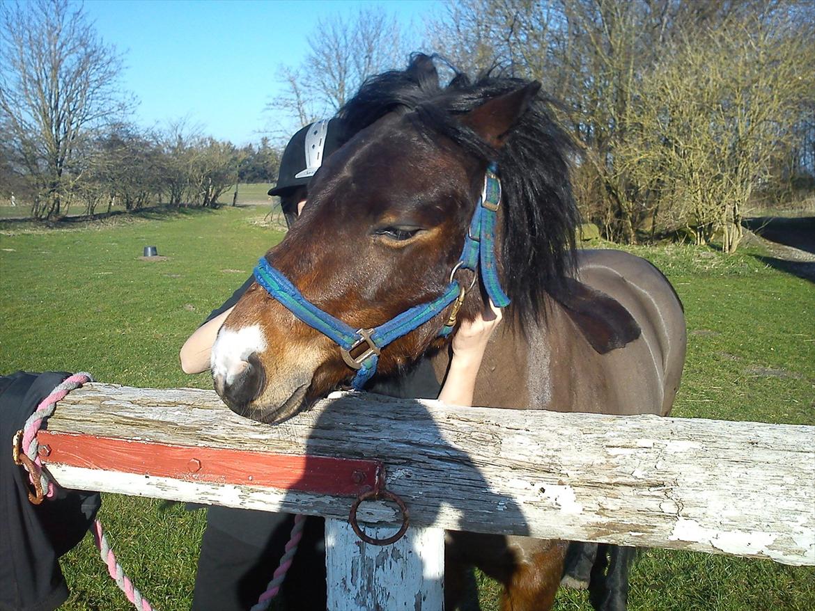 Undervisning. billede 11