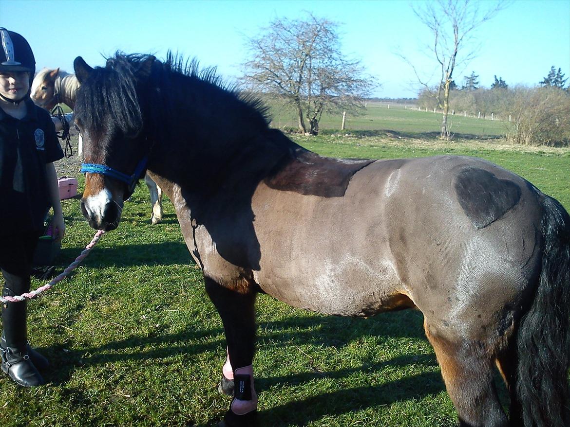 Undervisning. billede 12