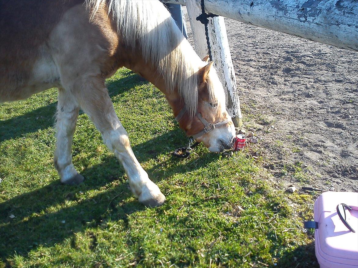 Undervisning. billede 13