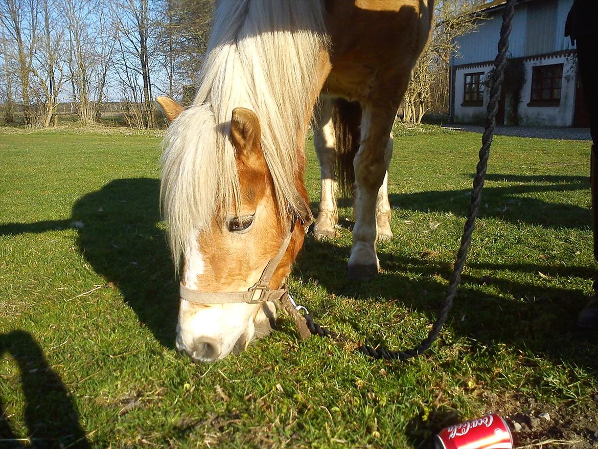 Undervisning. billede 16