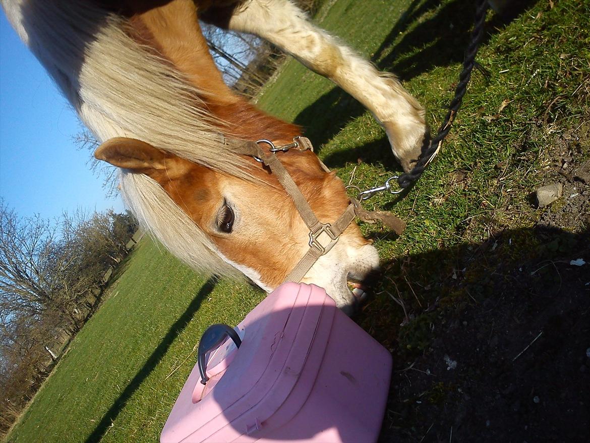 Undervisning. billede 17