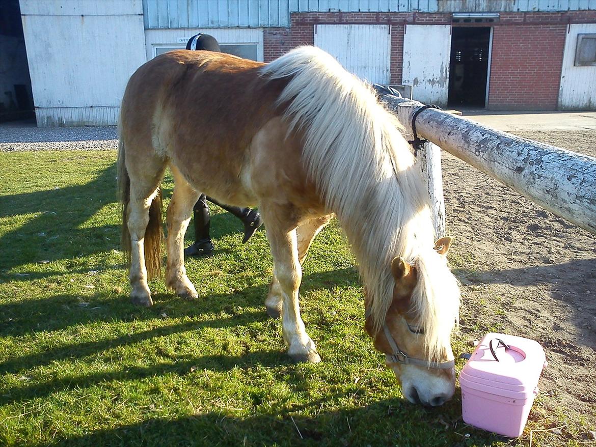 Undervisning. billede 18