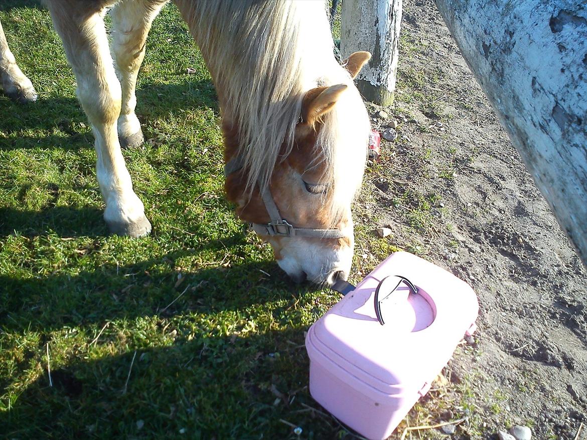 Undervisning. billede 19