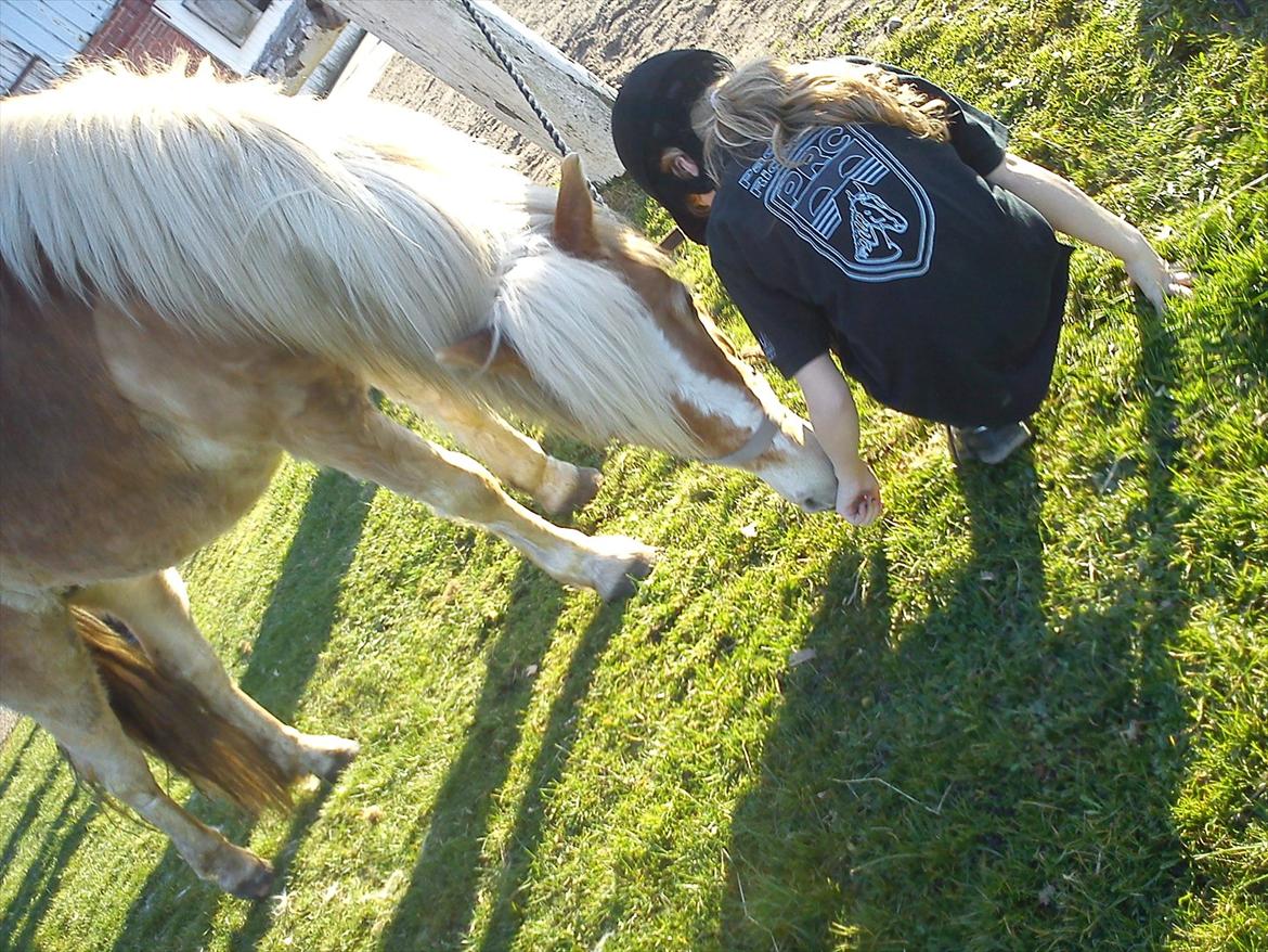 Undervisning. billede 21