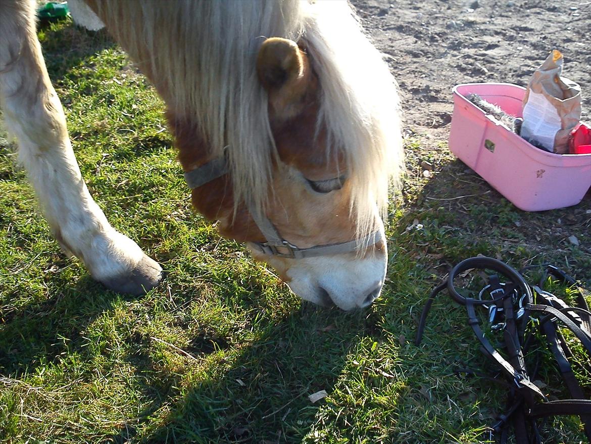 Undervisning. billede 23