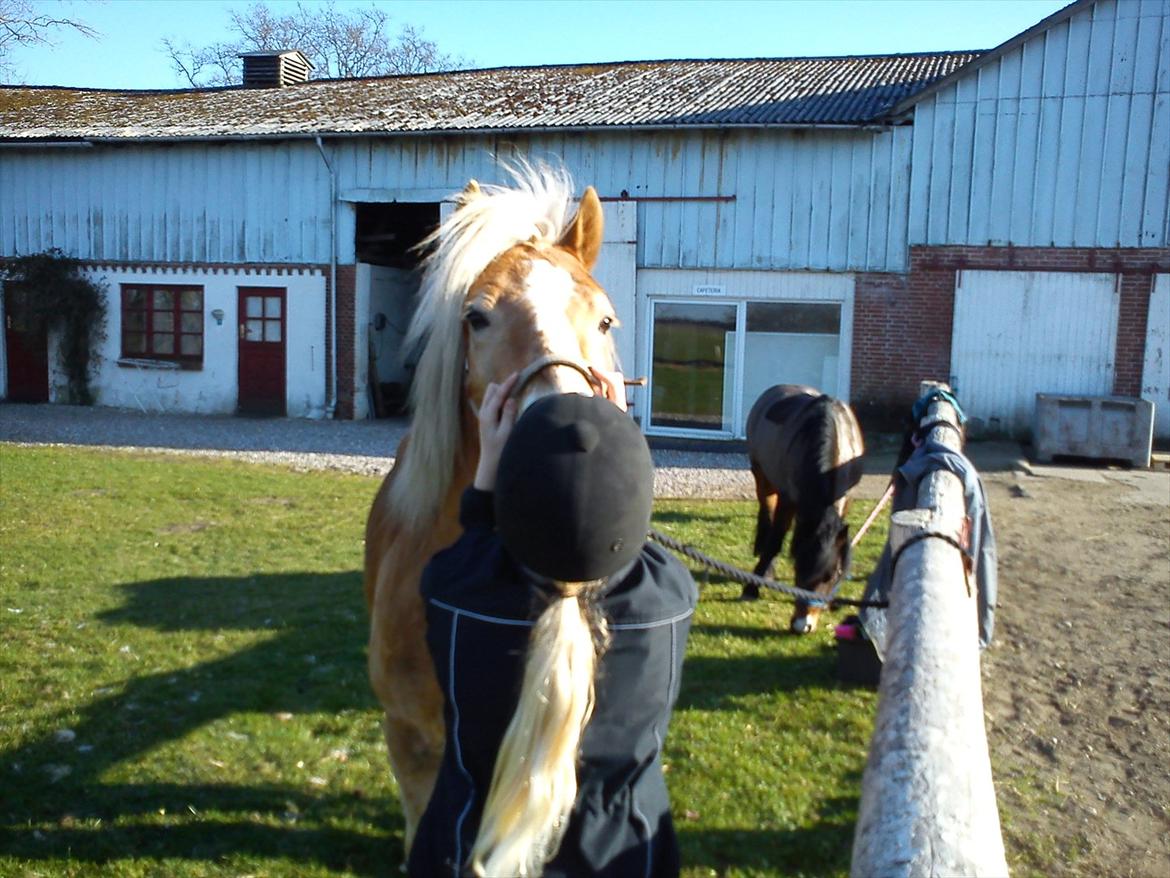 Undervisning. billede 25