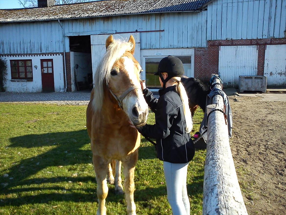 Undervisning. billede 26