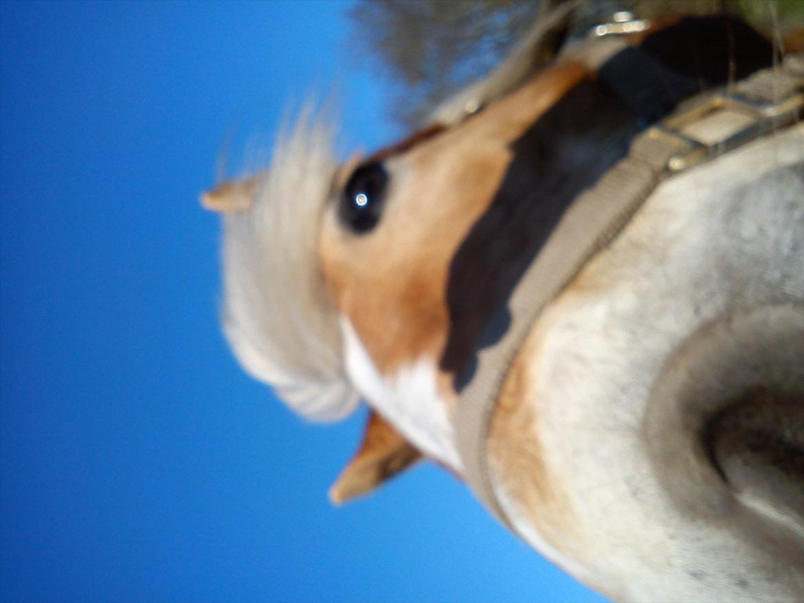 Undervisning. billede 30