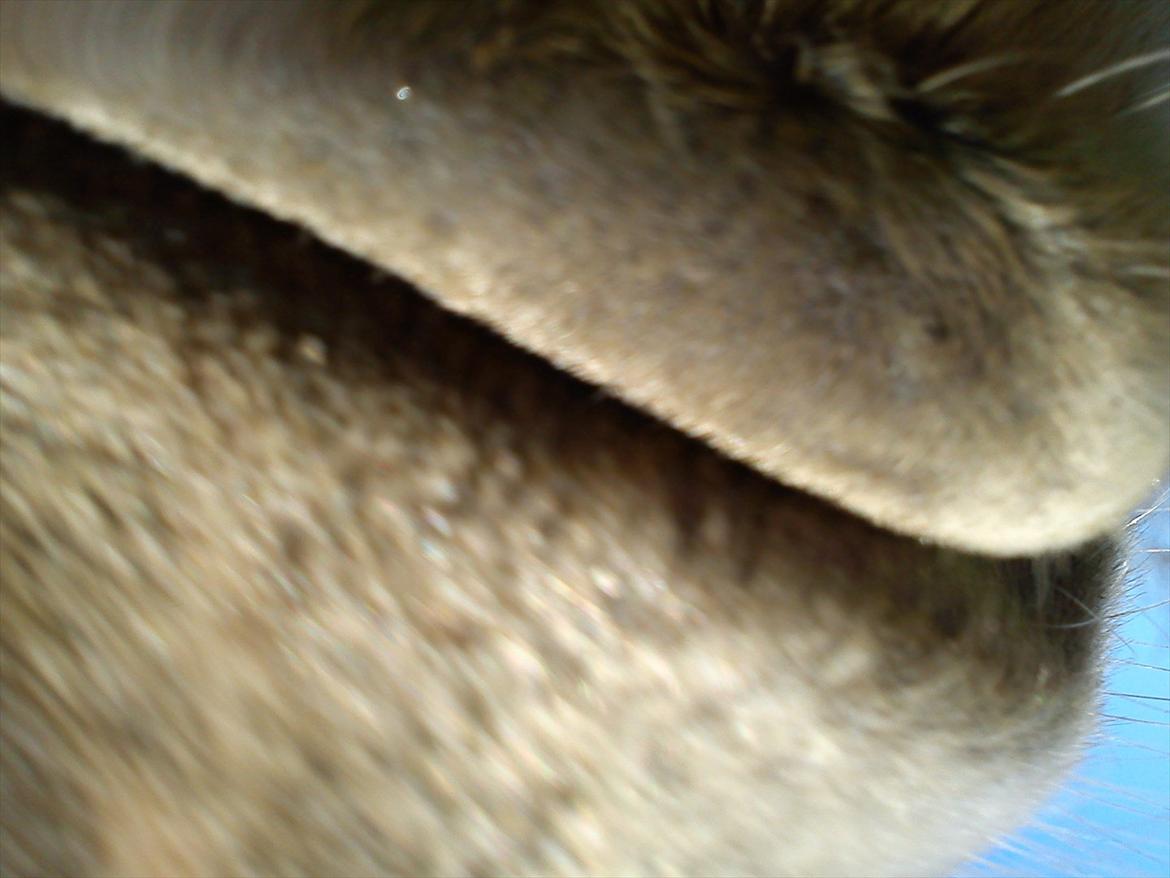 Undervisning. billede 32