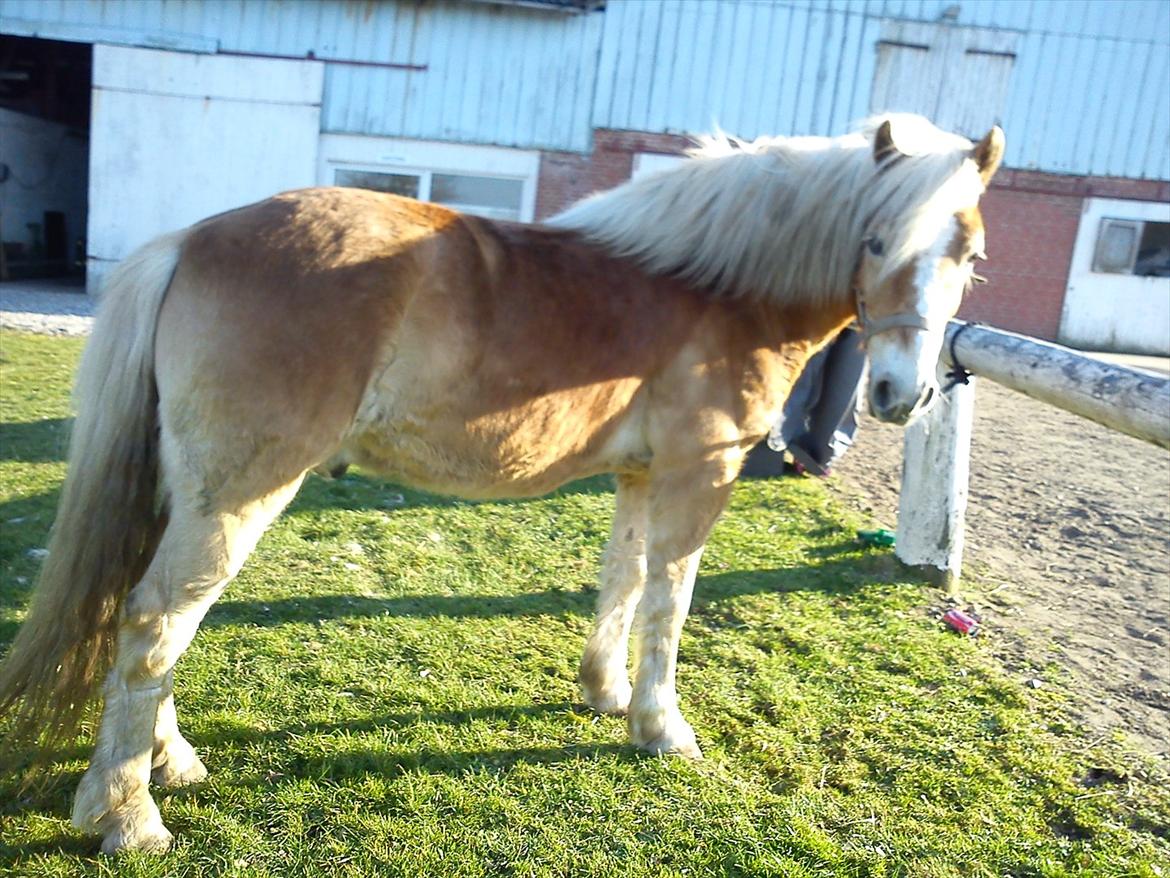 Undervisning. billede 33