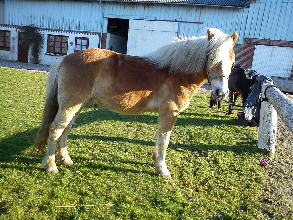 Undervisning. billede 34