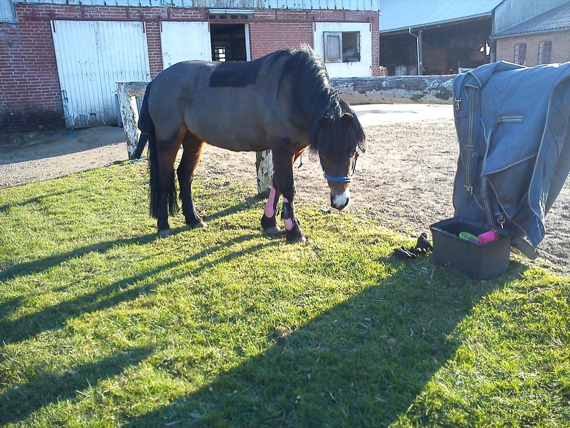 Undervisning. billede 35