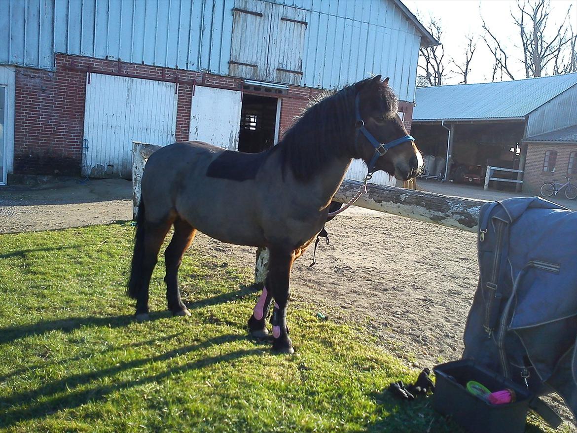 Undervisning. billede 36