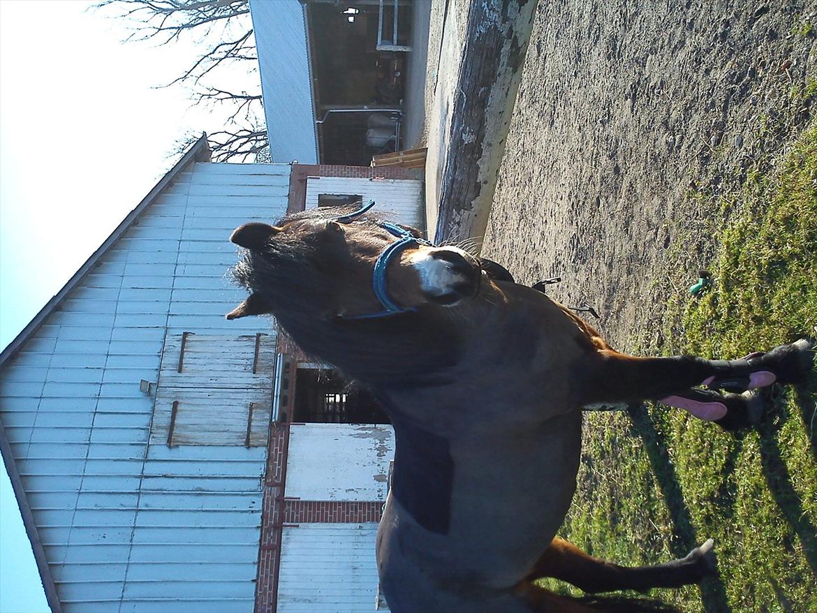 Undervisning. billede 37