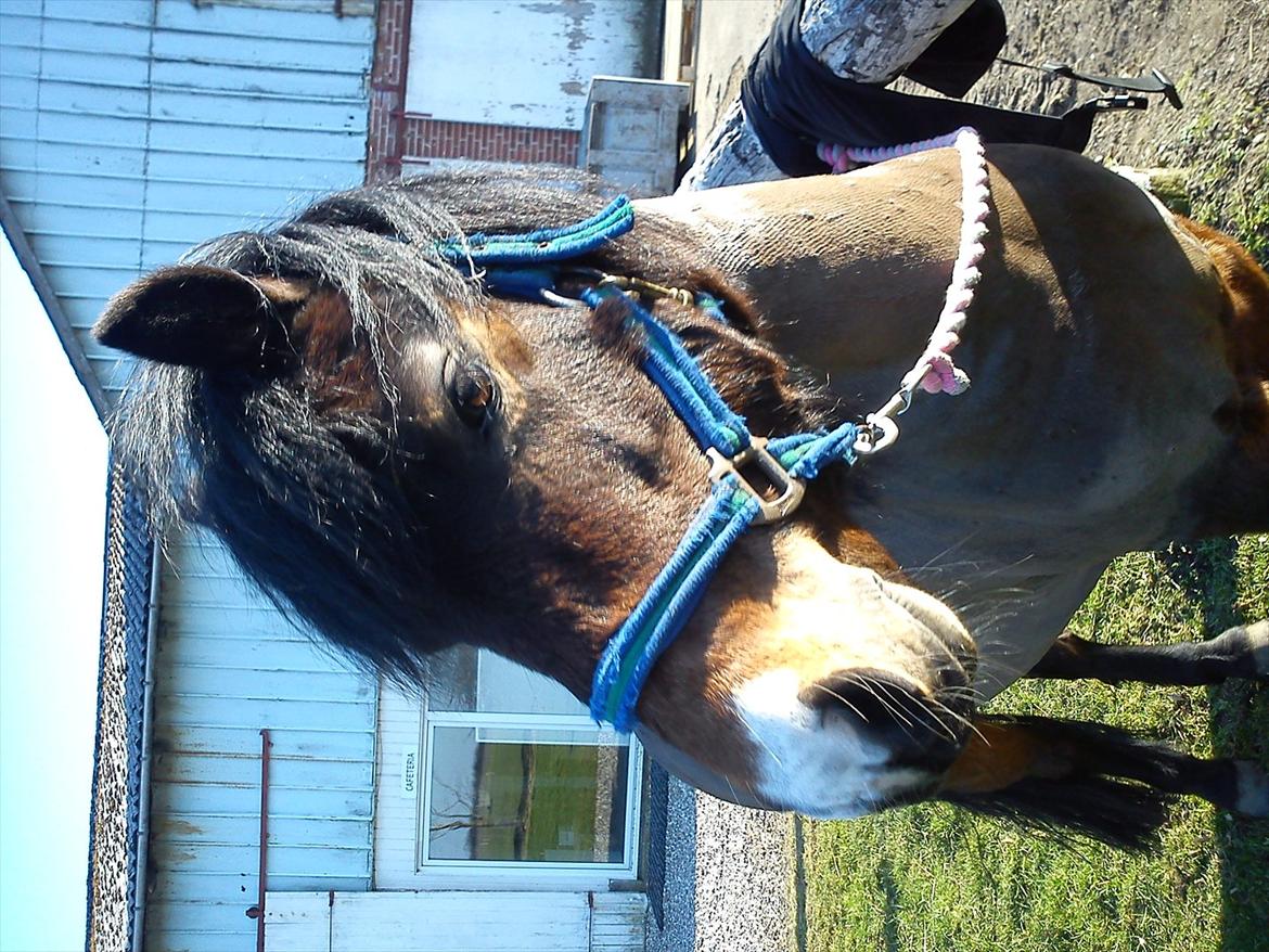 Undervisning. billede 38