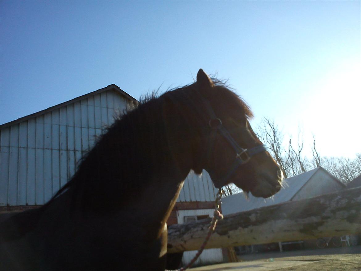 Undervisning. billede 39