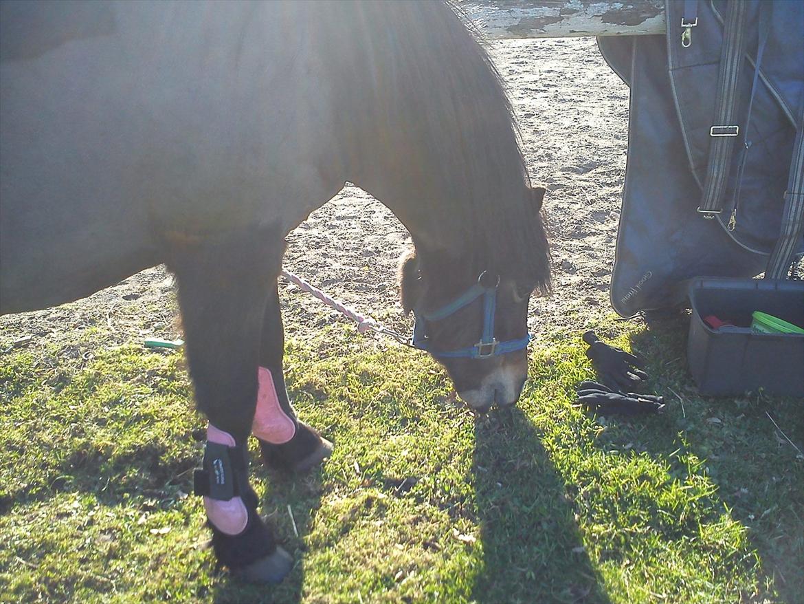 Undervisning. billede 40