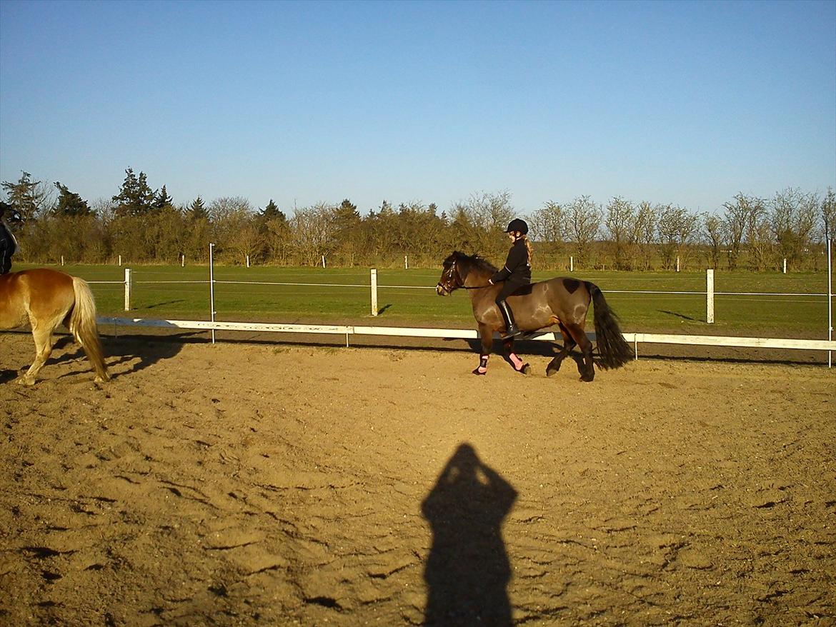 Undervisning. billede 42