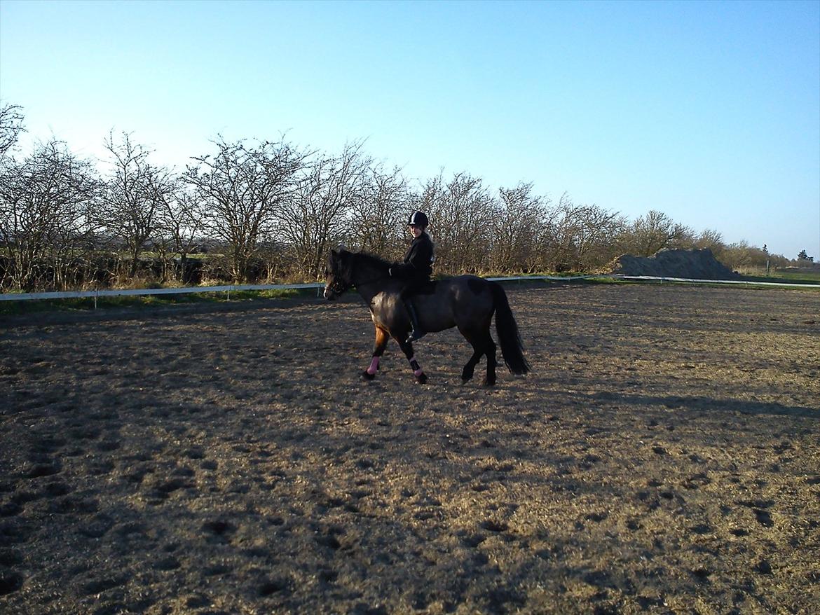 Undervisning. billede 44