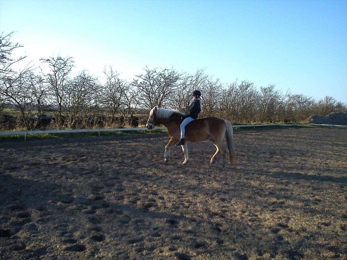 Undervisning. billede 45