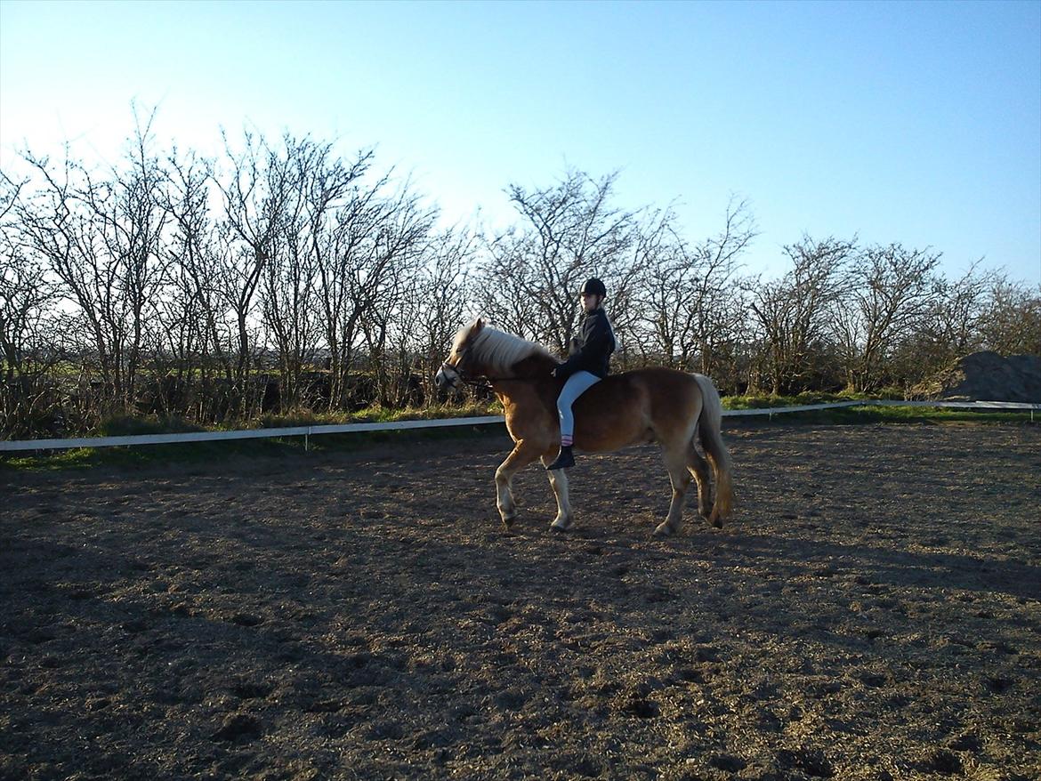 Undervisning. billede 46