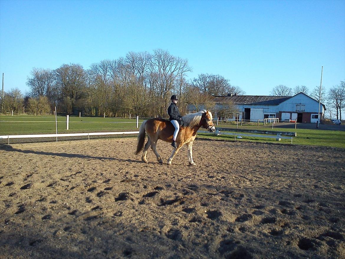 Undervisning. billede 47