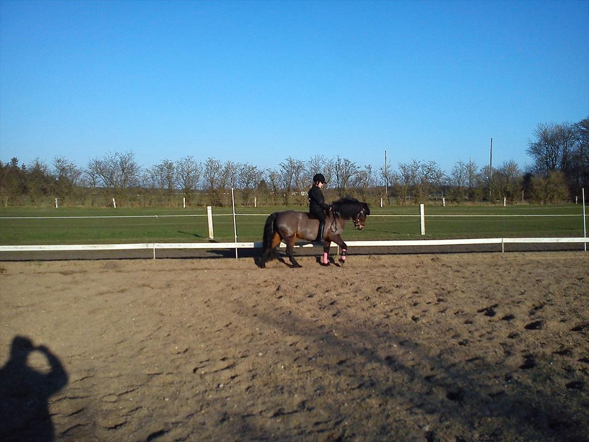 Undervisning. billede 48