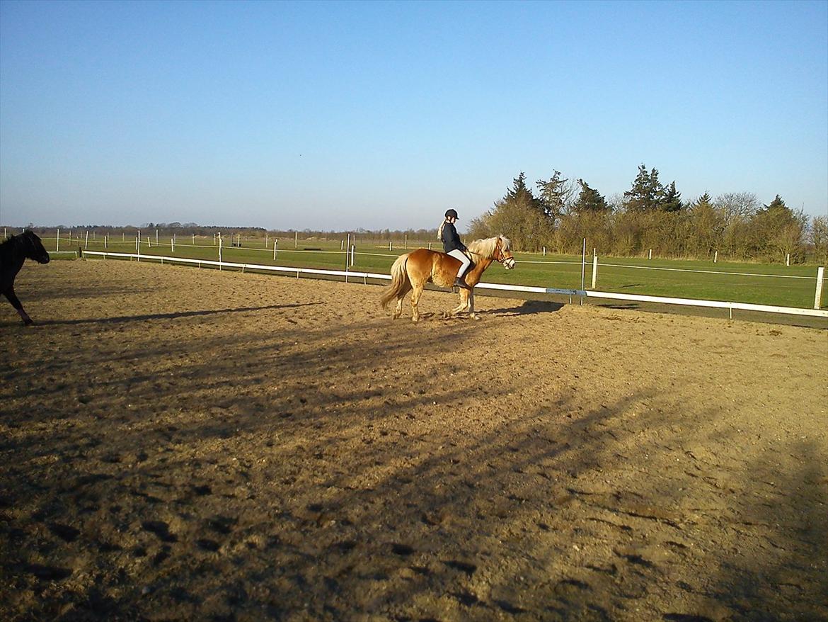 Undervisning. billede 49