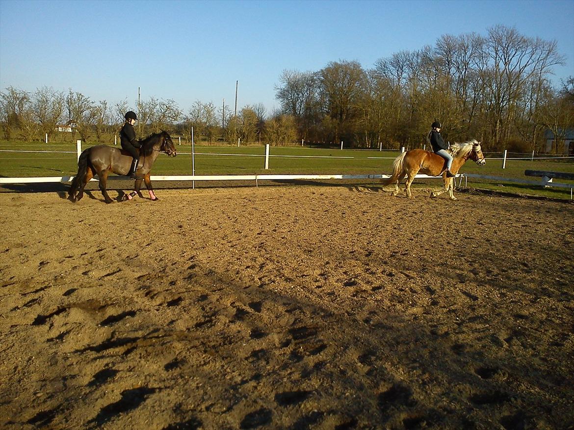 Undervisning. billede 50