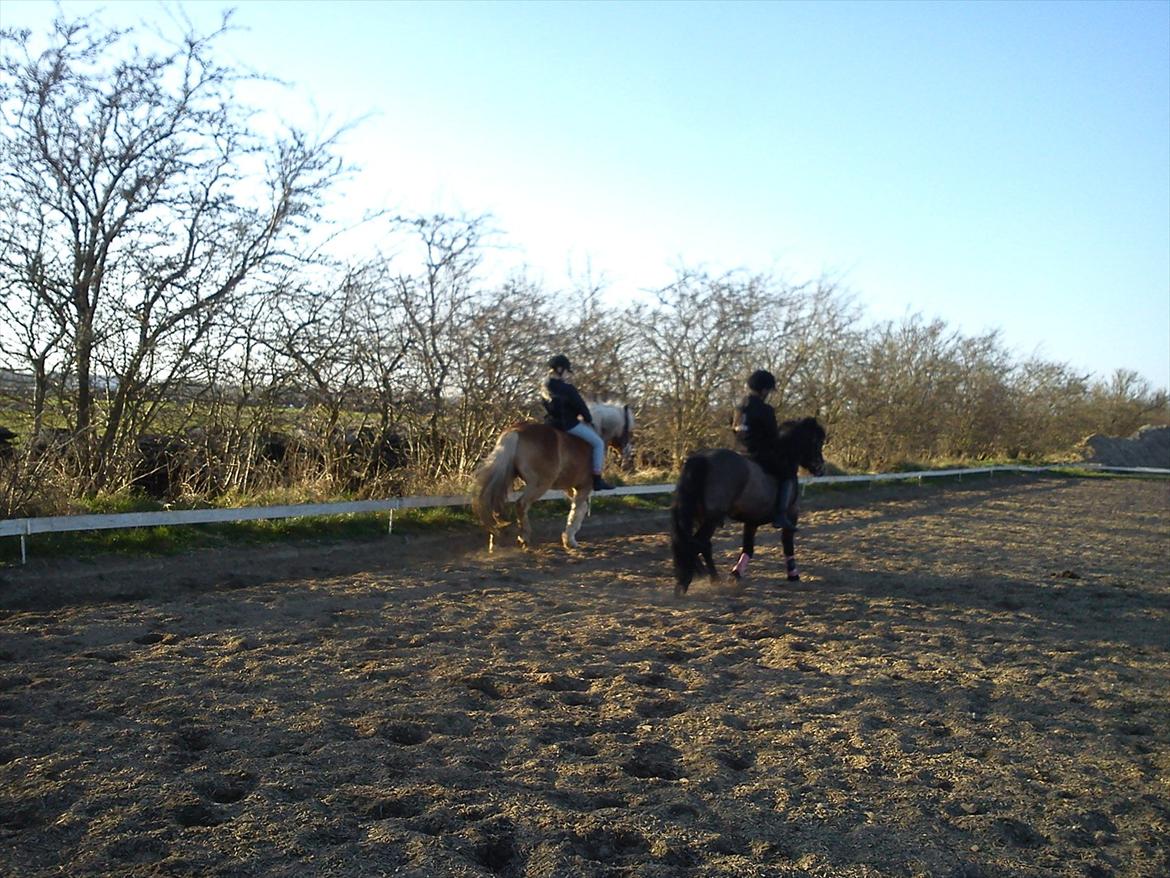 Undervisning. billede 51