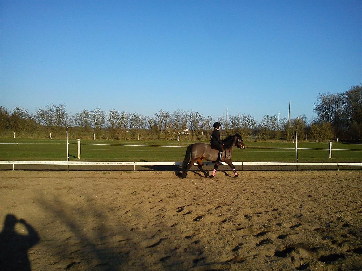 Undervisning. billede 52