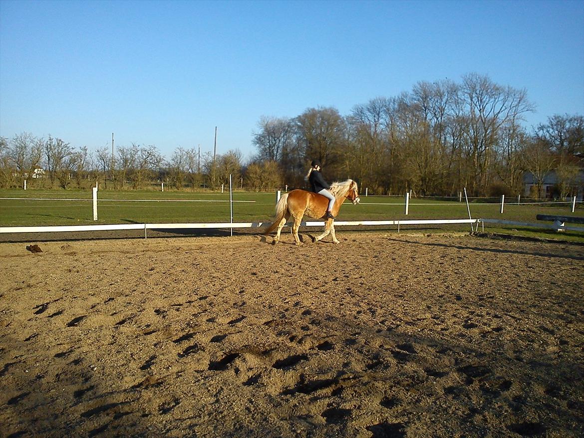 Undervisning. billede 53