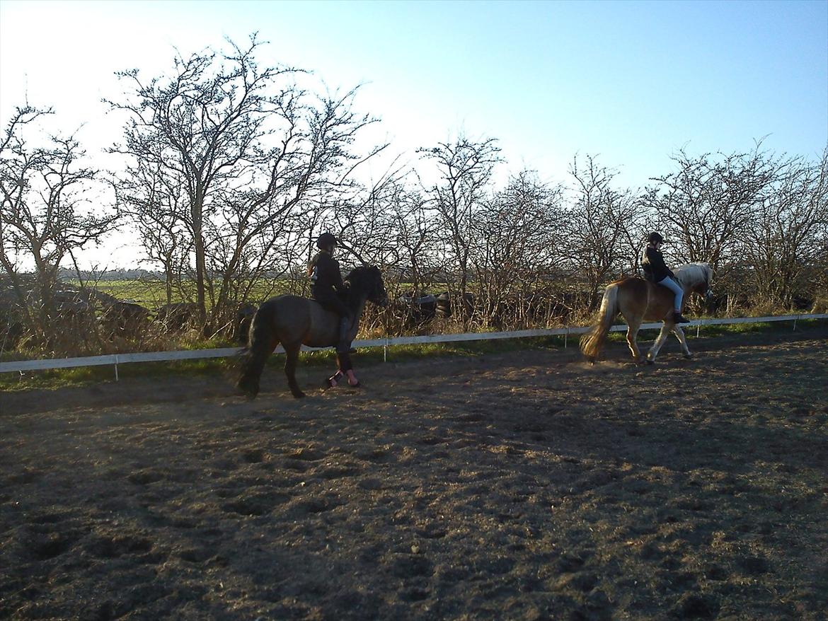 Undervisning. billede 54