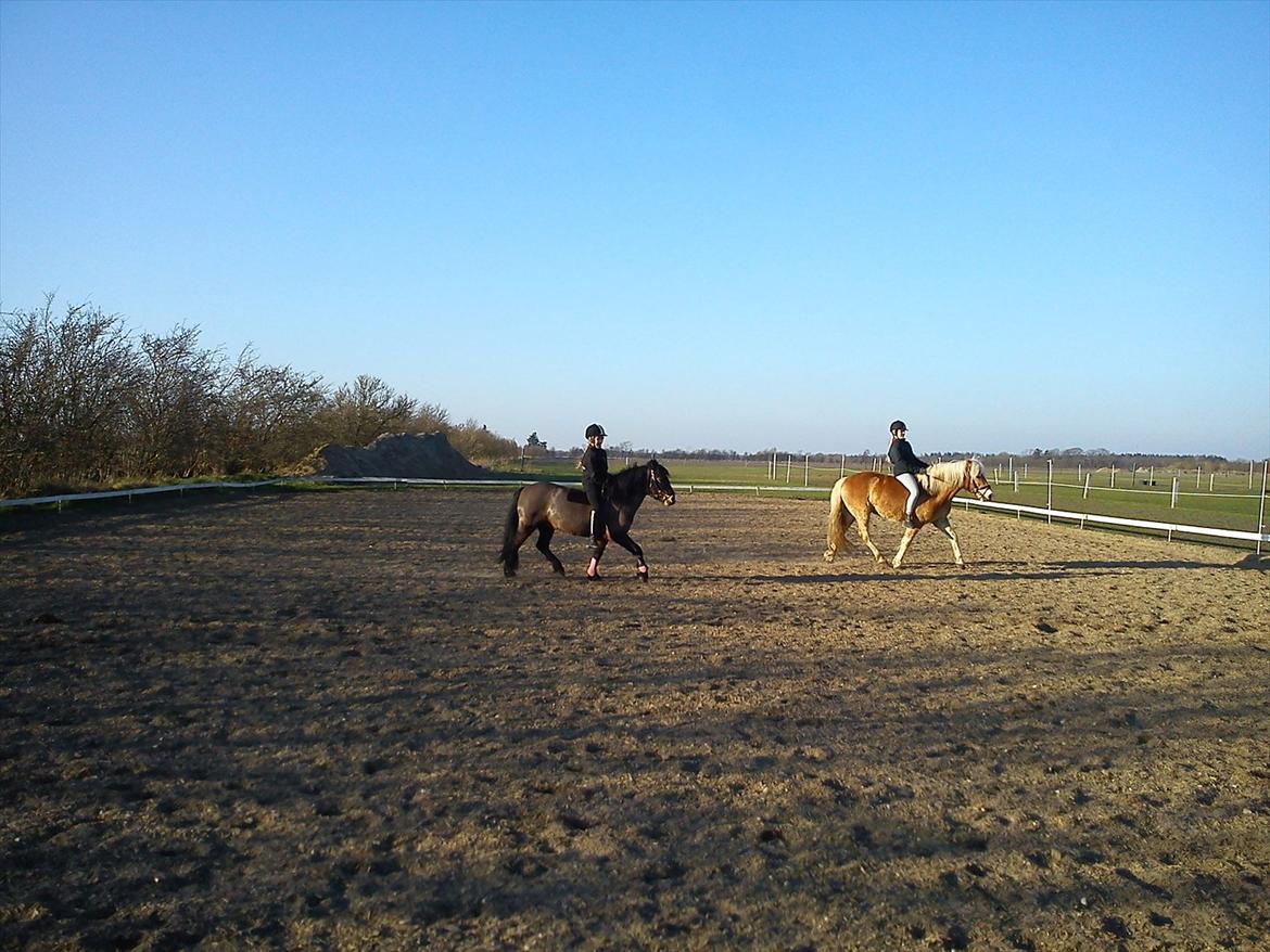 Undervisning. billede 56