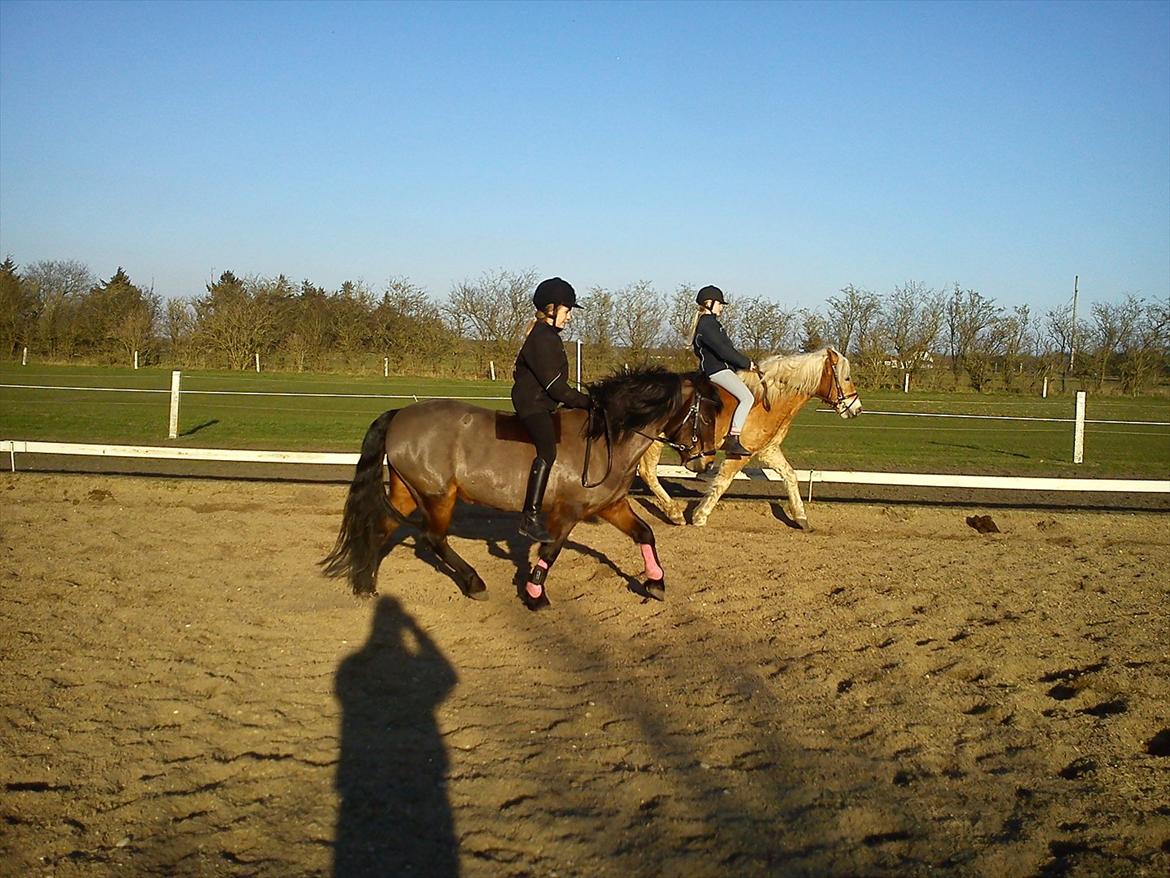 Undervisning. billede 57