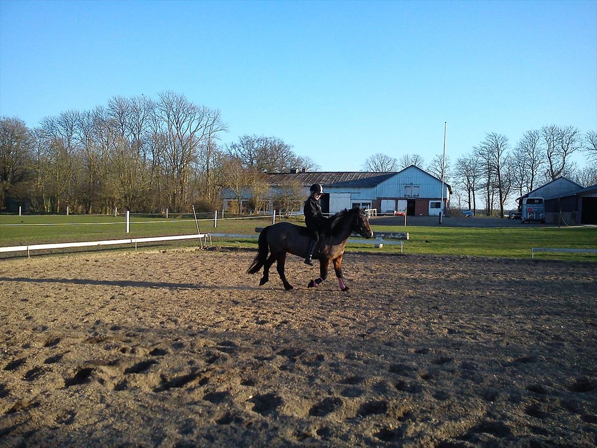 Undervisning. billede 58