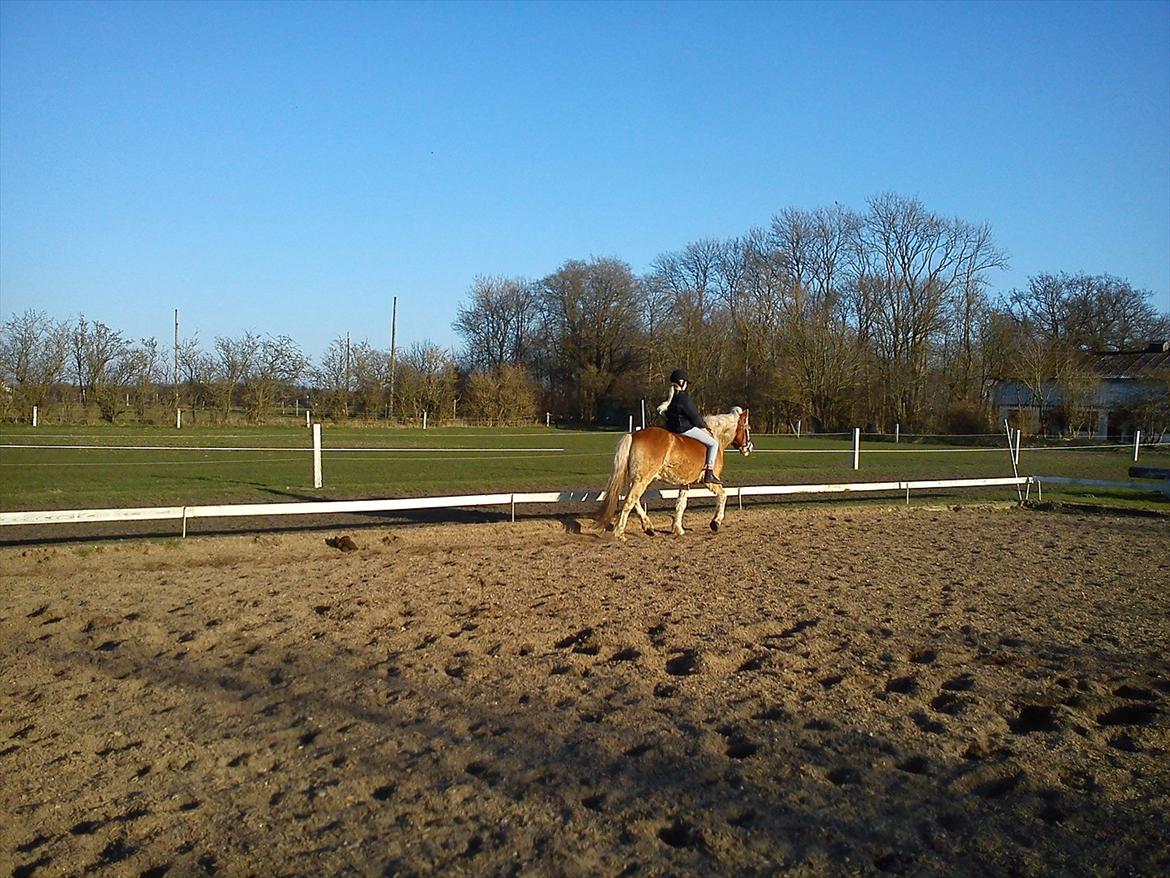 Undervisning. billede 59