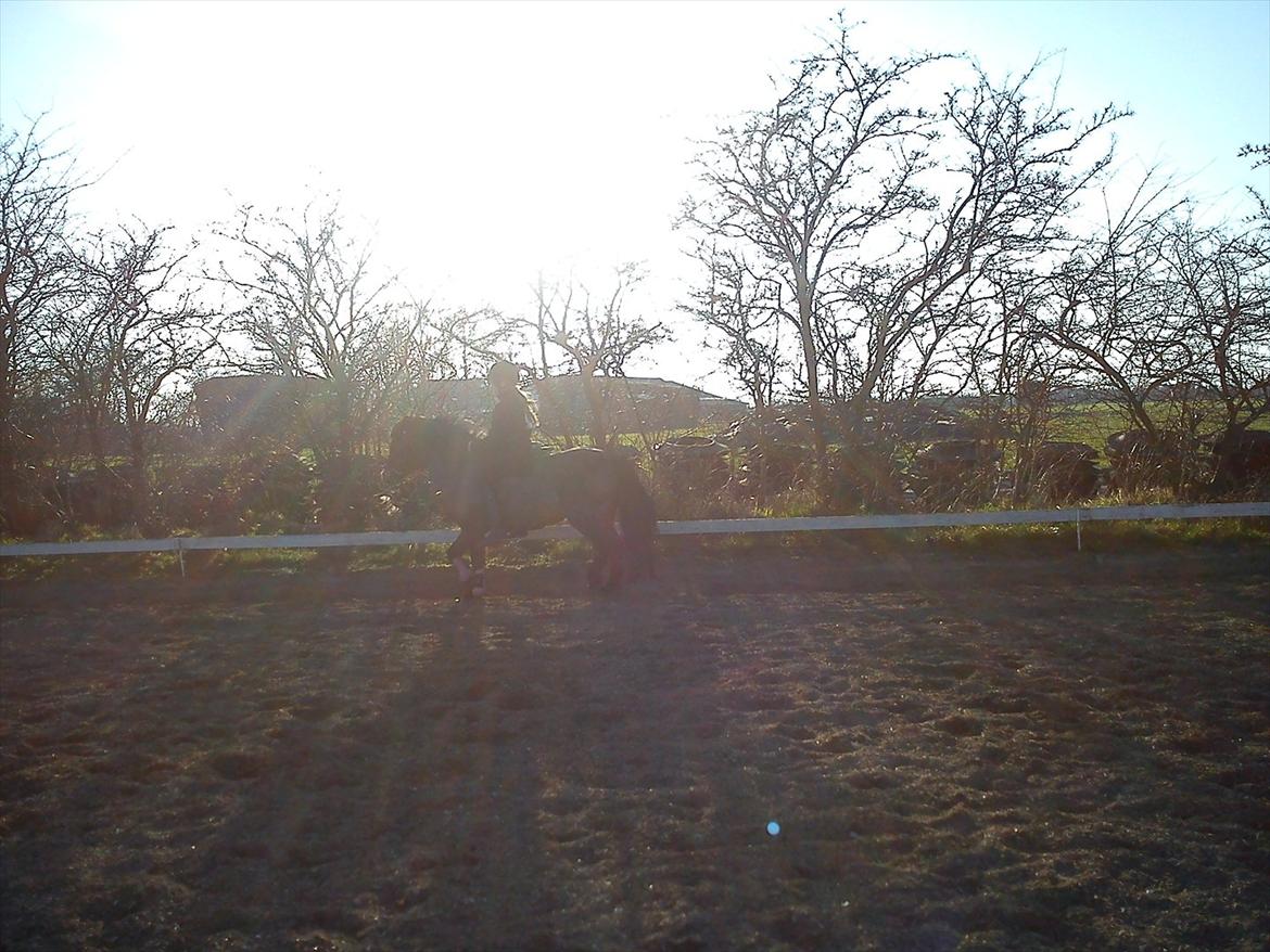 Undervisning. billede 60