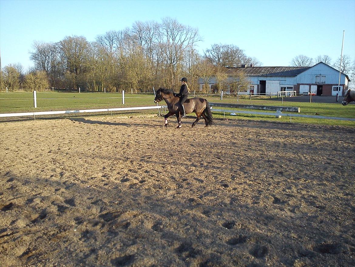 Undervisning. billede 61