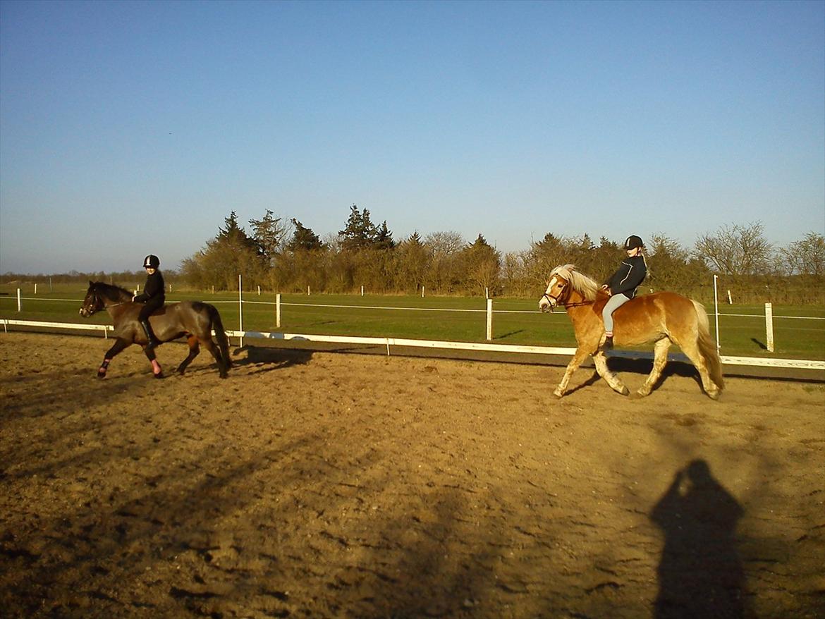 Undervisning. billede 62