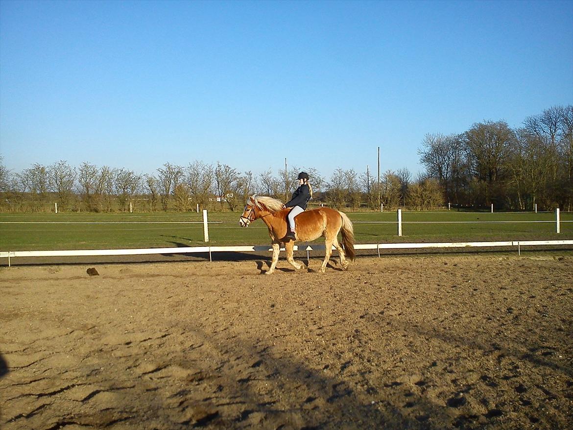 Undervisning. billede 63