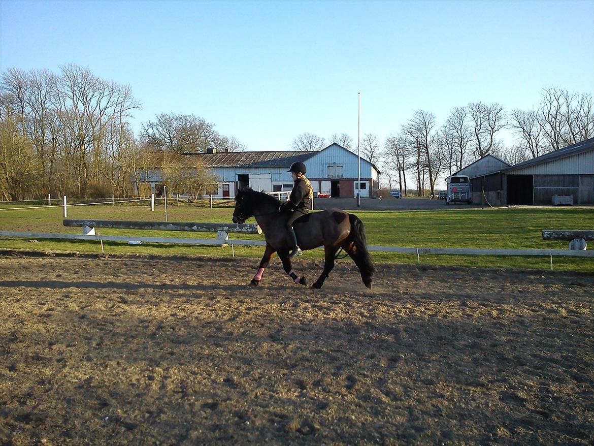 Undervisning. billede 64